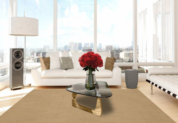 Picture of Monac Sisal Sndstn 5'X8' Rug