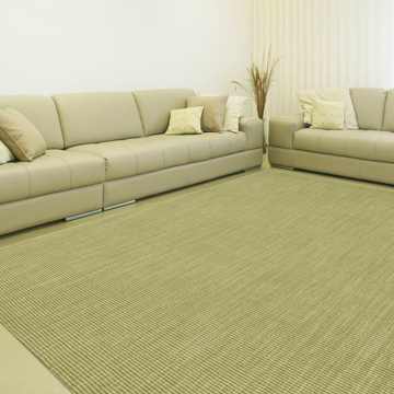 Picture of Monaco Sisal 5X8 Rug In Aloe