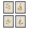 Picture of Dyani 4 Piece Floral Wall Art Set