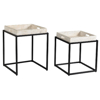 Picture of White Tray Top Nesting Tables