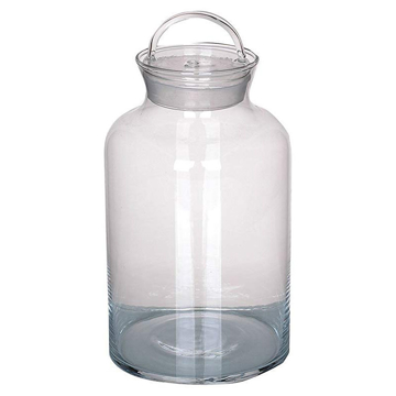 Picture of Glass 8" Clear Jar with Lid