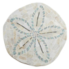 Picture of SAND DOLLAR END TABLE