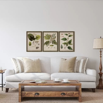 Picture of VINTAGE PLANT PRINTS I S/3
