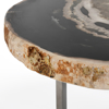 Picture of PEDRA 31" PETRIFIED WOOD COFFEE TABLE