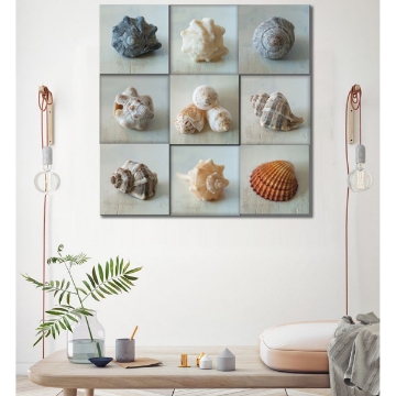 Picture of SHELL LIFE PRINT