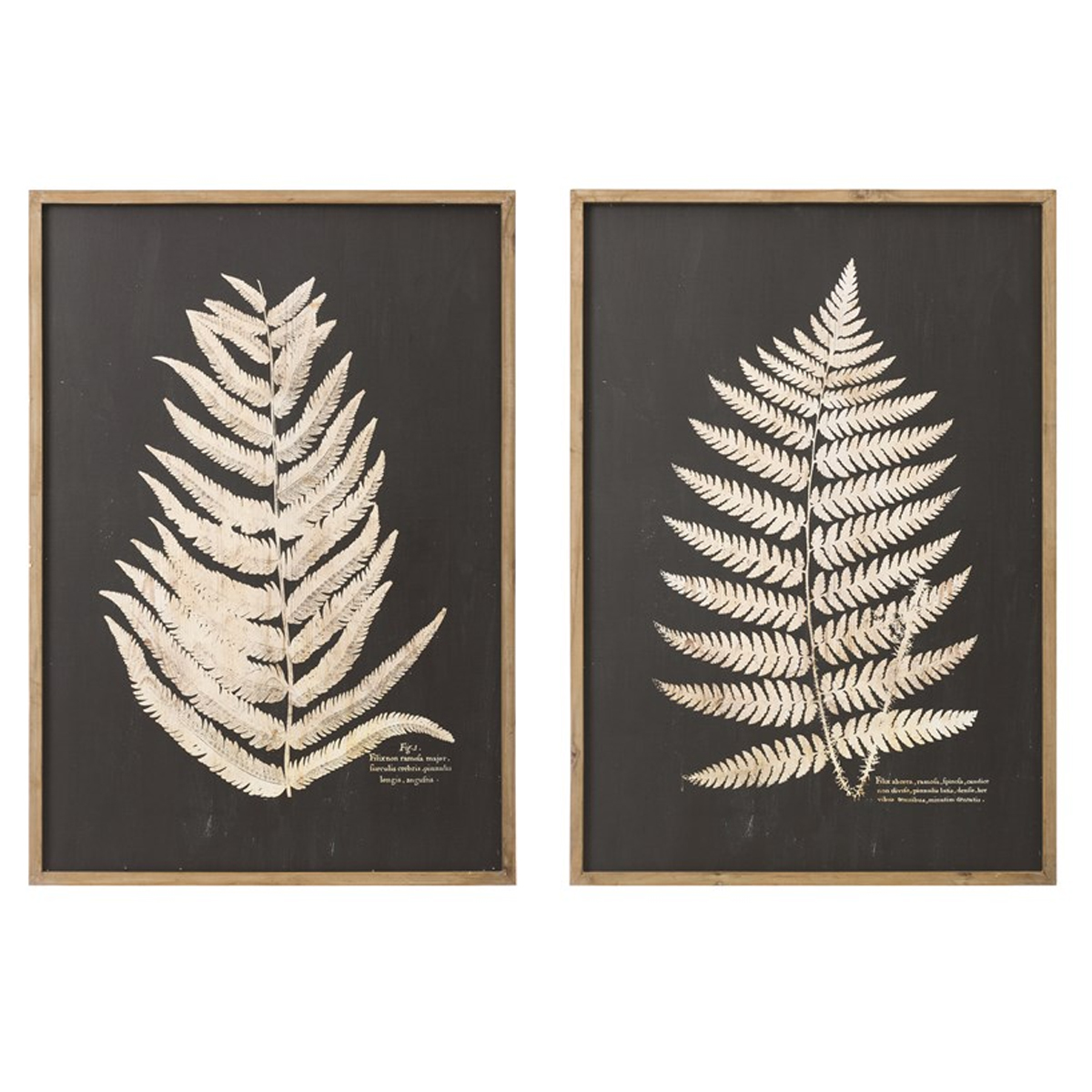 Picture of WOOD LEAF CUTOUT FRAMED ART