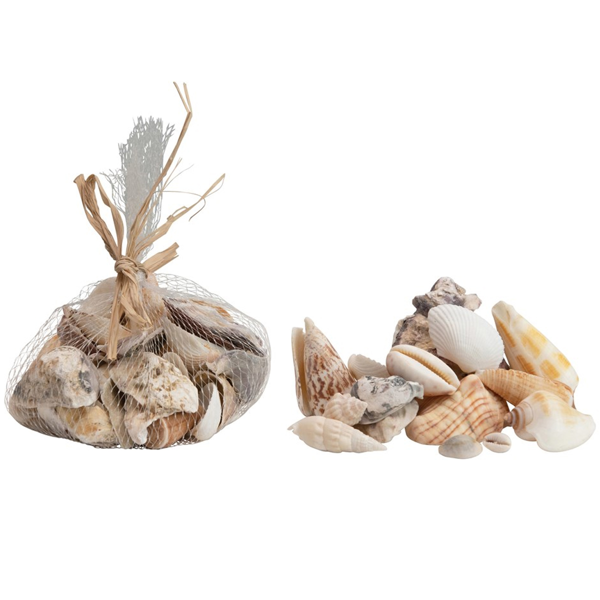 Picture of SHELLS IN JUTE BAG