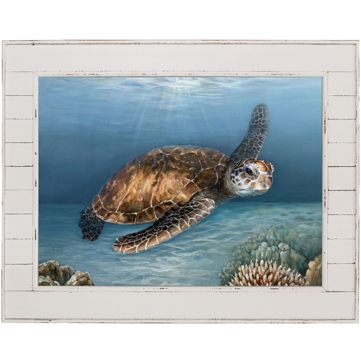 Picture of SHIPLAP TURTLE PRINT
