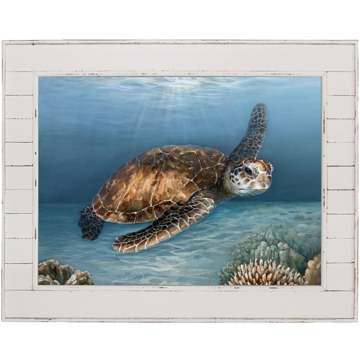 Picture of SHIPLAP TURTLE PRINT