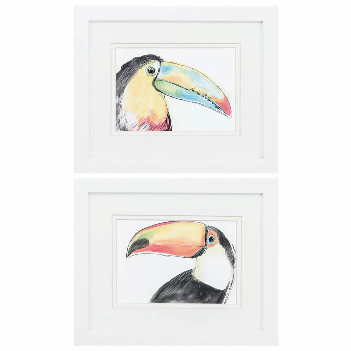 Picture of TROPICAL TOUCAN AST BIRD ART