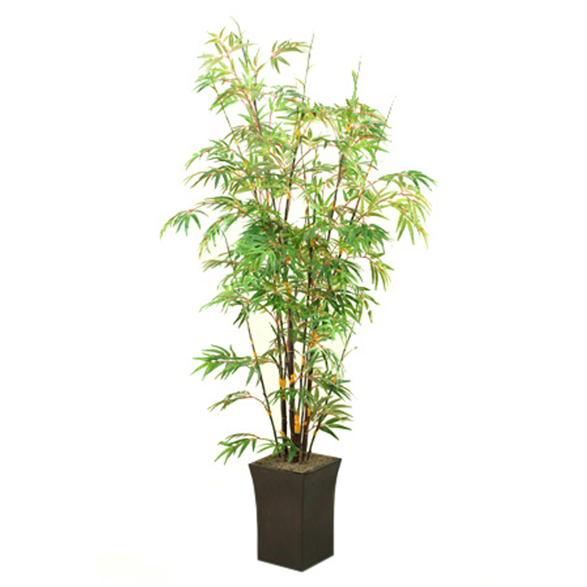 Picture of BLACK BAMBOO IN SQUARE METAL PLANTER