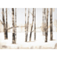 Picture of SNOWYDAY II FRAMED ART
