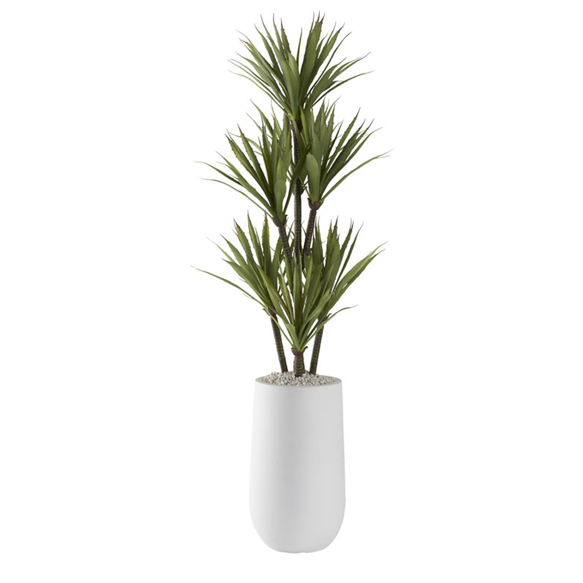 Picture of 52" YUCCA TREE IN WHITE PLANTER