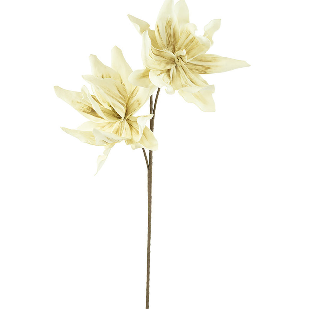 Picture of DOUBLE STEM ANTQ IVORY FLOWER