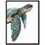 Picture of GREAT SEA TURLE
