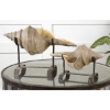 Picture of S/2 CONCH SHELL SCULPTURES