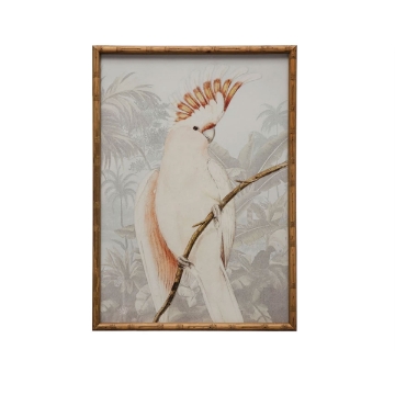 Picture of COCKATOO FRAMED PRINT W/BAMBOO