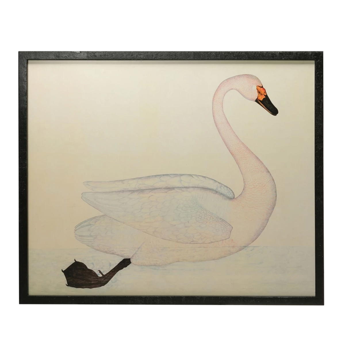 Picture of WALL DECOR W/VINTAGE SWAN WHT