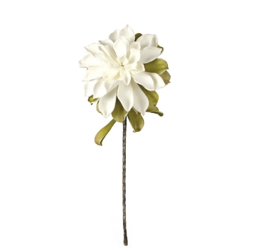 Picture of WHITE FLOWER STEM