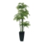 Picture of 7' BAMBOO TREE IN BLACK PLANTER