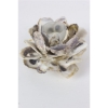Picture of OYSTER SHELL CANDLE HOLDER