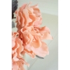 Picture of PEACH RUFFLED EDGE FLOWER