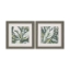 Picture of FAUVIST TROPICAL A S/2 ART