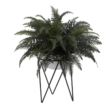 Picture of LG RVR FERN IN BOWL W/ MTL STN