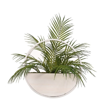 Picture of MTL PLNTR FERN WALL HANGING
