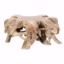 Picture of CYPRESS ROOT COFFEE TABLE