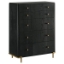 Picture of ARINI BLACK CHEST