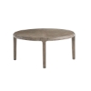 Picture of BOULDER BUNCHING COCKTAIL TABLE