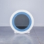 Picture of HAVEN ROUND CUSTOM MIRROR