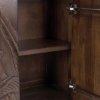 Picture of LEDRO BROWN TWO DOOR CABINET