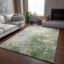 Picture of BRESCA 2 ALOE 8X10 RUG