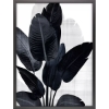 Picture of PALM NOIR II FRAME ART