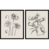 Picture of GARDEN SKETCH