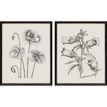 Picture of GARDEN SKETCH