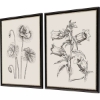 Picture of GARDEN SKETCH