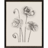 Picture of GARDEN SKETCH