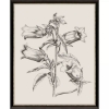 Picture of GARDEN SKETCH