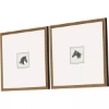 Picture of EQUESTRIAN STUDY
