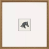 Picture of EQUESTRIAN STUDY