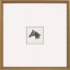 Picture of EQUESTRIAN STUDY