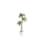 Picture of 7' ARECA PALM IN WHITE SQUARE PLANTER