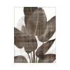 Picture of EARLY PALM II ART
