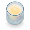 Picture of HINOKI SAGE BALTIC CANDLE