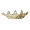 Picture of NATURAL/SILVER 20" CAST CLAM BOWL