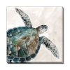 Picture of SEA TURTLE CANVAS 18X18