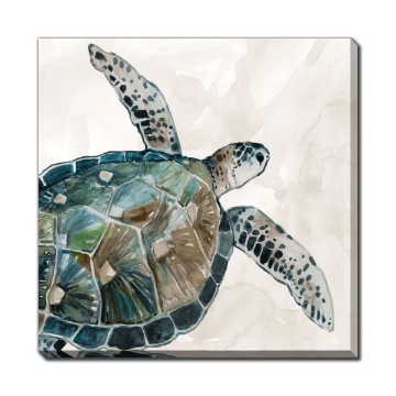 Picture of SEA TURTLE CANVAS 18X18